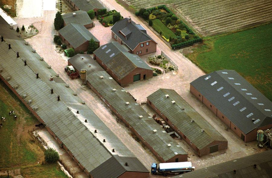 Saneren