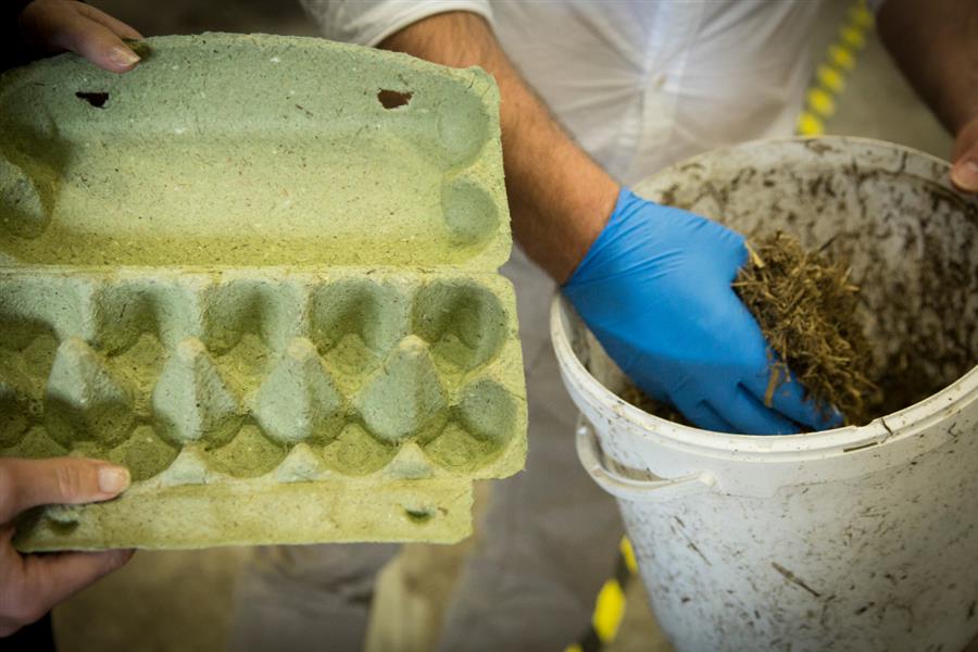 Bericht Biobased economy bekijken